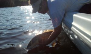 the captain of com'n'gettit fishing charters, redfish