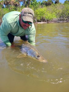 Daytona Beach Fishing Charter Snook