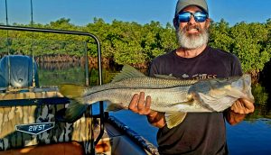 Daytona Beach fishing charter Snook Catch